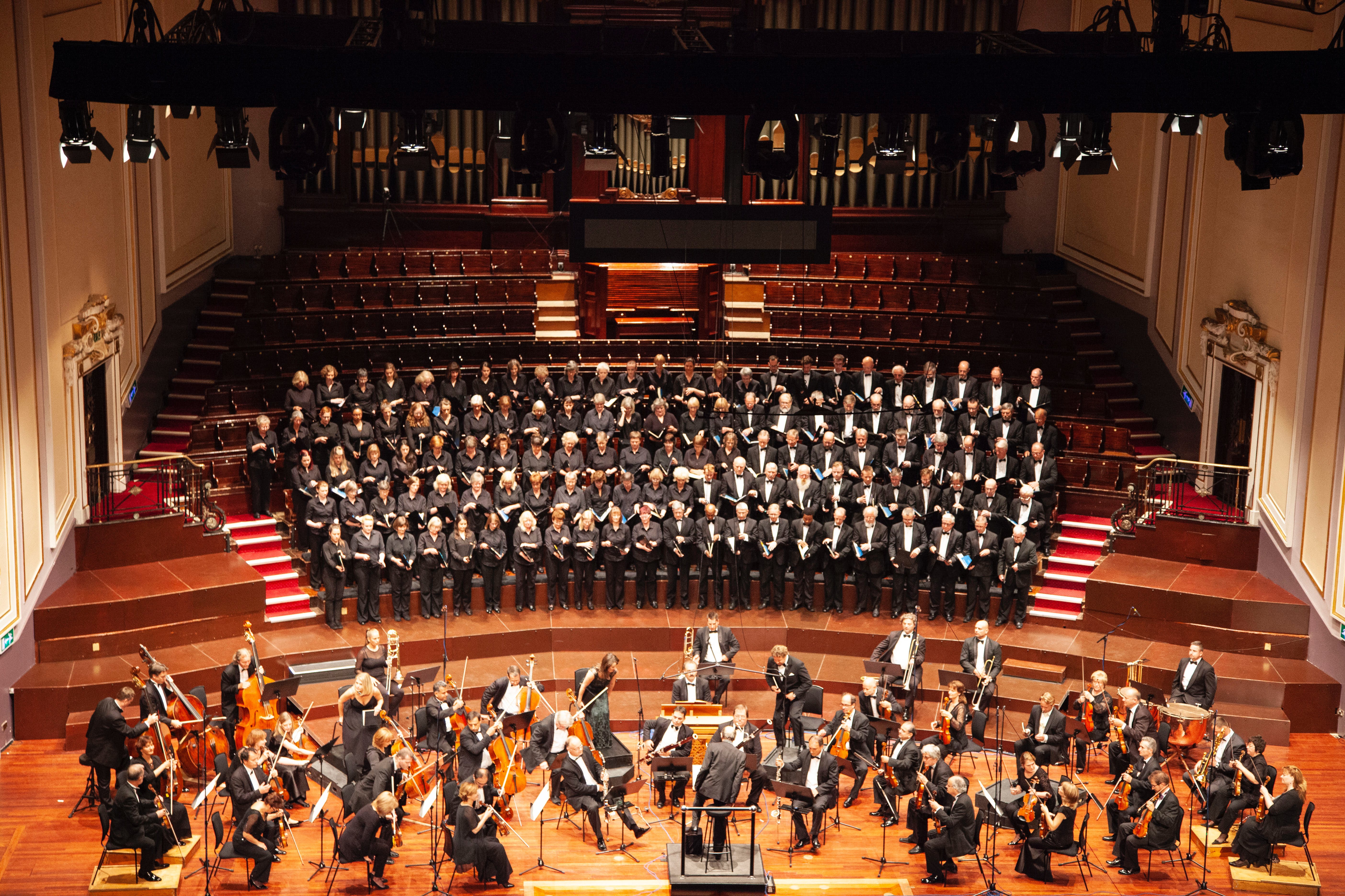 The Philharmonic Orchestra performing a concert, view from the stalls.